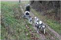 Tour Taunus 237